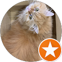 Tyra Lee profile picture